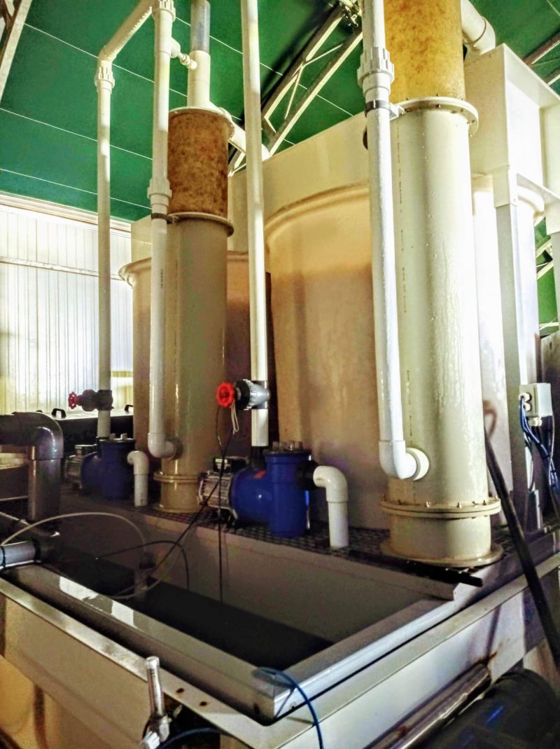 Ammonia-removing bioreactors and drum skimmer